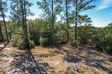 PRIVATE DEEP WATER PROPERTY, SOUTH NEWPORT RIVER, PRE-APPROVED - photo 20