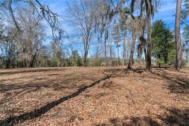 PRIVATE DEEP WATER PROPERTY, SOUTH NEWPORT RIVER, PRE-APPROVED - photo 21