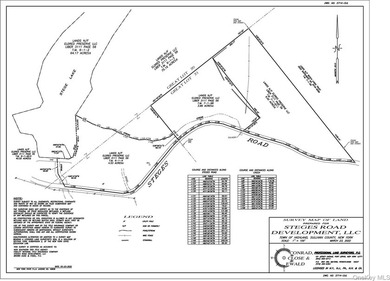 800+ ACRES | 60-ACRE PRIVATE LAKE | 90 MILES TO NYC Strategic - photo 21