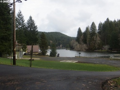 Discover your dream home nestled in a picturesque Fishhawk Lake - photo 21