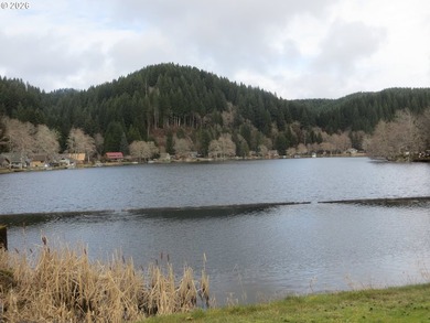 Discover your dream home nestled in a picturesque Fishhawk Lake - photo 22