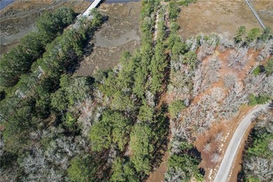 PRIVATE DEEP WATER PROPERTY, SOUTH NEWPORT RIVER, PRE-APPROVED - photo 23