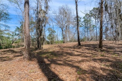 PRIVATE DEEP WATER PROPERTY, SOUTH NEWPORT RIVER, PRE-APPROVED - photo 26