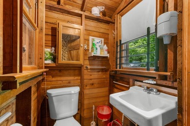 This 1930's cabin is located within the ''pine hills'' community - photo 7