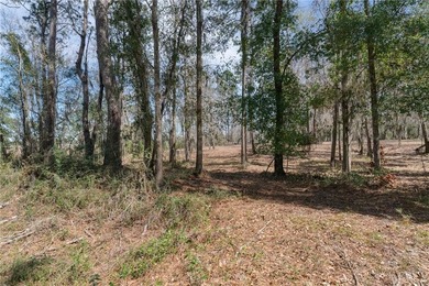 PRIVATE DEEP WATER PROPERTY, SOUTH NEWPORT RIVER, PRE-APPROVED - photo 27