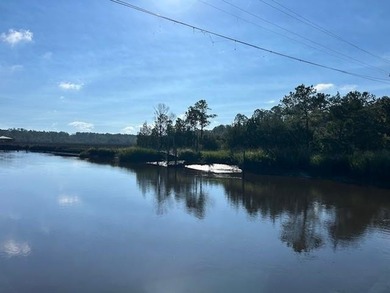 PRIVATE DEEP WATER PROPERTY, SOUTH NEWPORT RIVER, PRE-APPROVED - photo 29