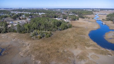 Lake Lot For Sale in Wando, South Carolina