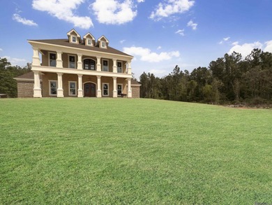 (private lake, pond, coastal) Home Sale Pending in Holden Louisiana