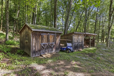 Dreaming of your own private sanctuary? 30+ acres await - photo 50