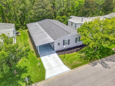 Lake Home For Sale in Ormond Beach, Florida