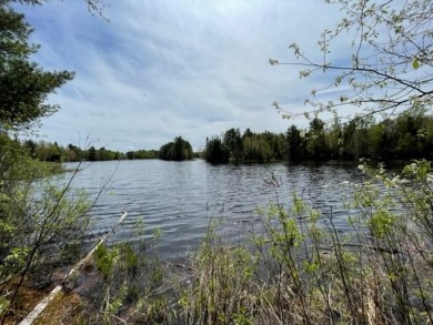 Spirit River Flowage Lot For Sale in Tomahawk Wisconsin