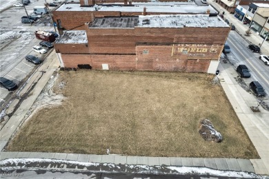Lake Erie - Lorain County Commercial For Sale in Lorain Ohio