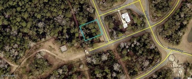 28 Wooded lot in beautiful Cumberland Harbour. Amenities - photo 1