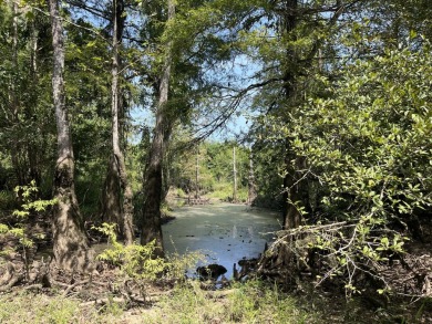 JUST REDUCED! This property spans approximately 1,316 acres and - photo 12
