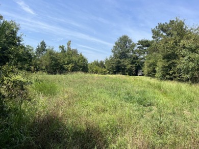 JUST REDUCED! This property spans approximately 1,316 acres and - photo 13