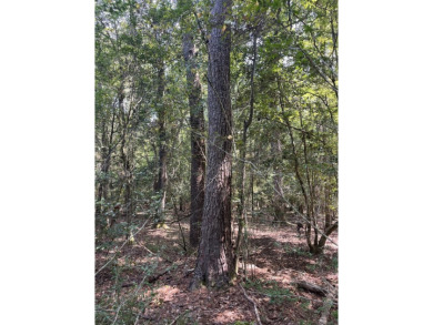 JUST REDUCED! This property spans approximately 1,316 acres and - photo 15