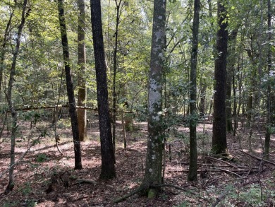 JUST REDUCED! This property spans approximately 1,316 acres and - photo 16