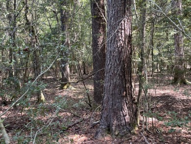 JUST REDUCED! This property spans approximately 1,316 acres and - photo 17