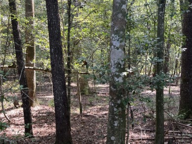JUST REDUCED! This property spans approximately 1,316 acres and - photo 18