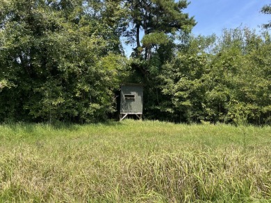 JUST REDUCED! This property spans approximately 1,316 acres and - photo 19