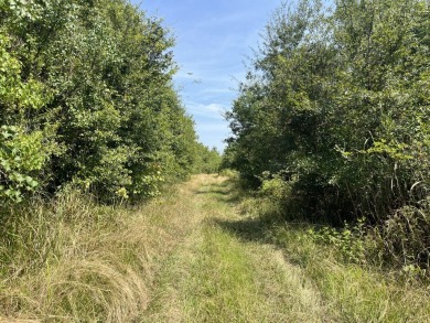 JUST REDUCED! This property spans approximately 1,316 acres and - photo 20