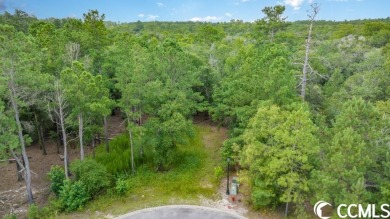 Waccamaw River Lot For Sale in Conway South Carolina