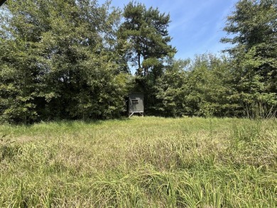 JUST REDUCED! This property spans approximately 1,316 acres and - photo 21