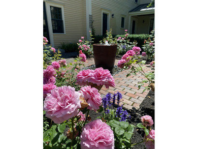 Coastal Estate near Portland, Maine. Set on 2.9 private acres - photo 22