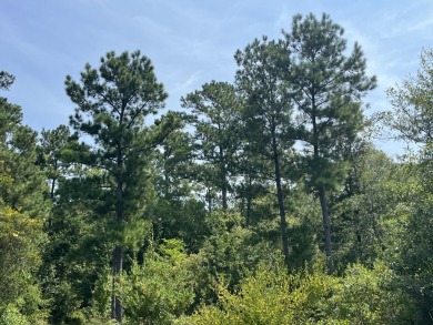 JUST REDUCED! This property spans approximately 1,316 acres and - photo 22