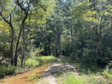 JUST REDUCED! This property spans approximately 1,316 acres and - photo 23