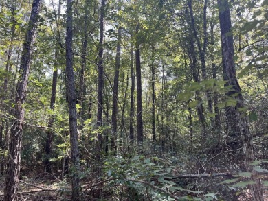 JUST REDUCED! This property spans approximately 1,316 acres and - photo 25