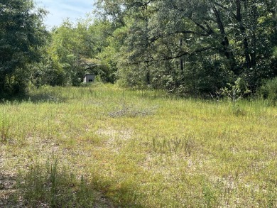 JUST REDUCED! This property spans approximately 1,316 acres and - photo 27