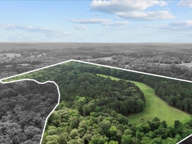 Lake Acreage For Sale in Elkhart, Texas
