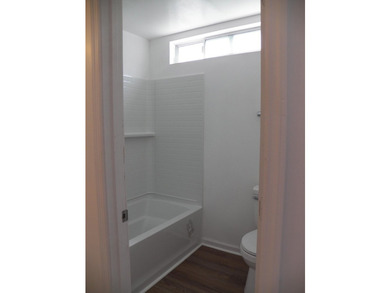 Newly Renovated! New Paint, New LVP Flooring, New ceiling fans - photo 10
