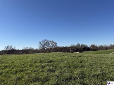 2.06 acres with utilities available AND a gorgeous 150x100 pond - photo 1