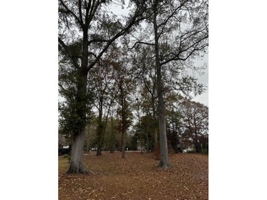 Lake Lot For Sale in Manning, South Carolina