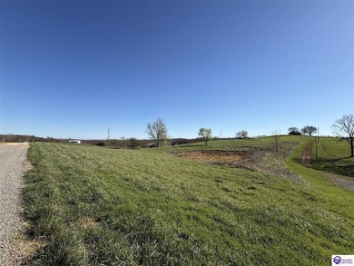 2.06 acres with utilities available AND a gorgeous 150x100 pond - photo 2