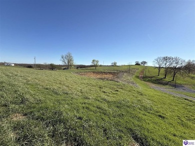 2.06 acres with utilities available AND a gorgeous 150x100 pond - photo 4