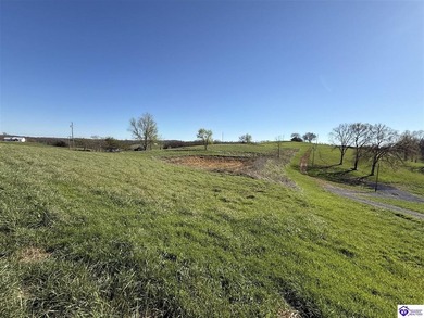 2.06 acres with utilities available AND a gorgeous 150x100 pond - photo 5