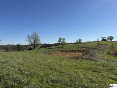 2.06 acres with utilities available AND a gorgeous 150x100 pond - photo 6