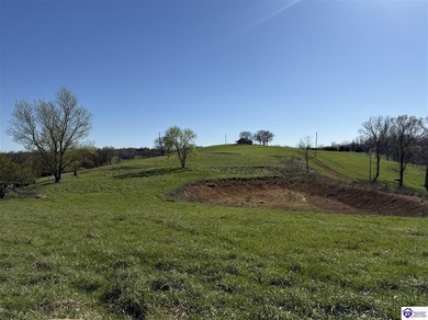 2.06 acres with utilities available AND a gorgeous 150x100 pond - photo 8