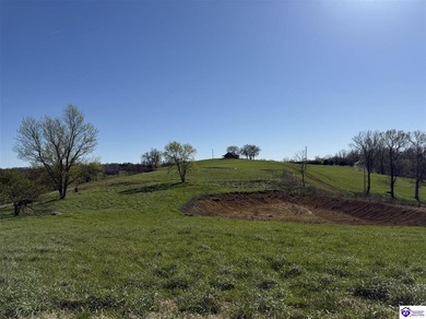 2.06 acres with utilities available AND a gorgeous 150x100 pond - photo 9