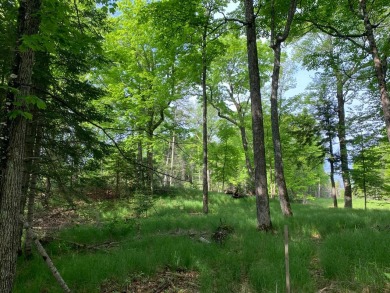 Fisher Lake - Iron County Lot For Sale in Mercer Wisconsin