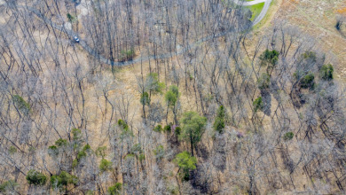 Wooded Lot in Gated Neighborhood, Central Location - photo 8