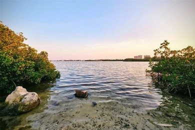 Welcome to a truly rare opportunity in the heart of Seminole - photo 4