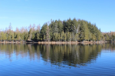 Torrey Lake Acreage For Sale in  Wisconsin