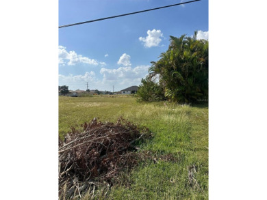 Lake Lot For Sale in Cape Coral, Florida