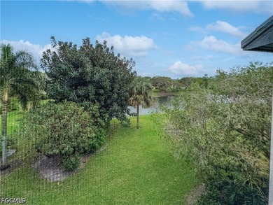 Experience the best of Southwest Florida living in this - photo 28