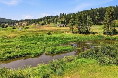 Creekside Estate in Hangman Valley | Freeman Schools. Nestled in - photo 45