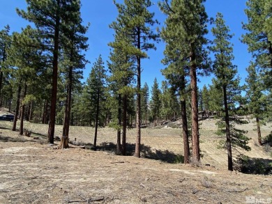 Lake Tahoe - Douglas County Acreage For Sale in Carson City Nevada